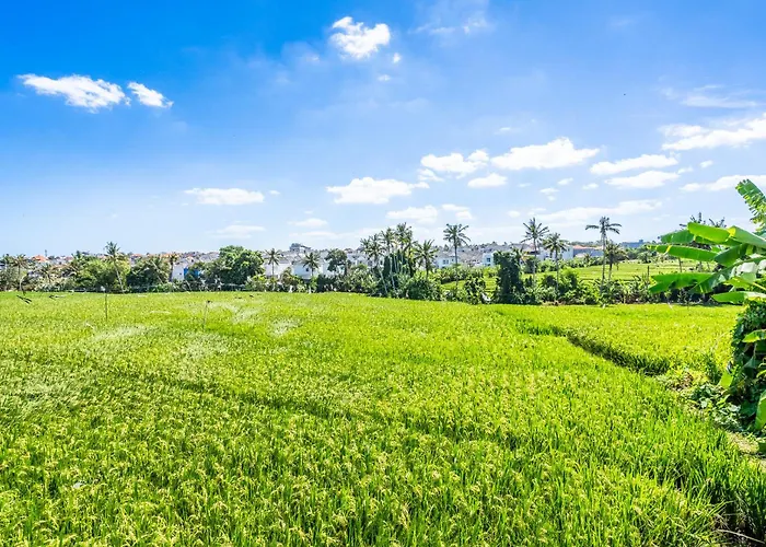 Villa Glentana - Rare 3br With Full Rice Field Views And Sunset